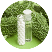 Bitter Melon Extract